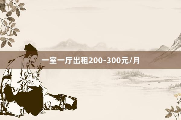 一室一厅出租200-300元/月